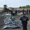 Báo cáo đầu tiên về vụ rơi máy bay MH17 được công bố vào 9/9