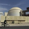 Iran bắt giữ nghi phạm Ukraine phá hoại nhà máy điện hạt nhân