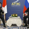 Lãnh đạo Nhật, Nga sẽ gặp nhau bên lề hội nghị thượng đỉnh APEC