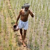 Báo Nga: Nhiều nông dân Ấn Độ tự sát vì hạt giống biến đổi gene