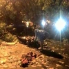 Hà Nội: Cây xà cừ lớn bật gốc đè chết người trên phố Nguyễn Du