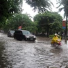 Đường phố Thái Bình biến thành sông sau trận mưa cực lớn