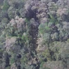Đã tìm thấy xác máy bay Indonesia, "bị phá hủy hoàn toàn"