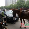 Lái xe BMW nhận bài học đích đáng vì định vượt ngựa trên đường