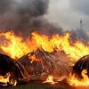 [Video] Cận cảnh "núi ngà voi" 172 triệu USD bị Kenya đốt bỏ