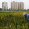 [Mega Story] Việt Nam - Hình mẫu của phát triển bền vững
