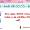 Hỏi đáp COVID-19: Tiêm vaccine xong không sốt thì có hiệu quả không?