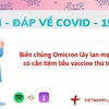 Hỏi đáp COVID-19: Có cần tiêm liều thứ tư khi Omicron lây lan mạnh?