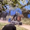 Sự thật cảnh cưỡi ngựa trong phim cổ trang Trung Quốc