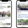 Các nội dung đăng trên Google Discover.