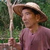 Nghệ sỹ nhân dân Trần Hạnh qua đời ngày 4/3. (Ảnh: PV/Vietnam+)