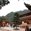 Lễ hội chùa Hương năm Canh Tý 2020 thu hút 15 vạn khách thập phương. (Ảnh: Thanh Tùng/TTXVN)