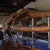 Dinh Vạn Thủy Tú ở tỉnh Bình Thuận lưu giữ bộ cốt cá voi lớn nhất trong khu vực. (Ảnh: Minh Anh/Vietnam+)
