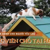 Có gì trong công viên dành cho ''cún cưng'' đầu tiên tại Hà Nội? (Ảnh: Minh Anh/Vietnam+)