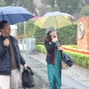 Từ 7 giờ, một số khách tham quan đã có mặt sớm để khai mạc sự kiện, cho biết thời tiết không mưa. (Ảnh: Minh Anh/Vietnam+)