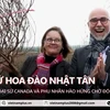 Đại sứ Canada ghé xứ hoa Đào Nhật Tân, hào hứng đón Tết Việt 