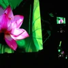Khai mạc Lễ hội Sen Hà Nội 2024: Tôn vinh và phát huy giá trị hoa sen