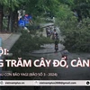 Hàng trăm cây đổ, gãy cành tại Hà Nội, nhiều tuyến phố bị chia cắt sau bão số 3