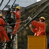 Cán bộ Tổng công ty điện lực Hà Nội đang kiểm tra, bảo trì đường dây cáp điện (Ảnh: TTXVN)