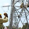 Đảo Lý Sơn sẽ được hòa điện lưới quốc gia từ tháng 10/2014
