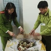 Lực lượng liên ngành Hà Nội thu giữ gần 18.000 mỹ phẩm và thực phẩm chức năng. (Ảnh: Đức Duy/Vietnam+)