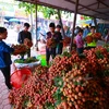 Rất nhiều mặt hàng nông sản của Việt Nam vẫn chưa xây dựng được thương hiệu. (Ảnh: PV/Vietnam+)