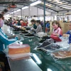 Dây chuyền sản xuất giầy bảo hộ lao động xuất khẩu. (Ảnh: TTXVN)