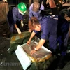 Lực lượng liên ngành Hà Nội tiêu hủy 11,5 tấn nầm lợn không rõ nguồn gốc. (Ảnh: Đức Duy/Vietnam+)