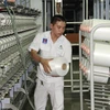 Công nhân kỹ thuật xưởng Filament - NMXS Đình Vũ đứng máy sản xuất sợi DTY. (Ảnh: Đức Duy/Vietnam+)