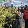 Nhiều mặt hàng nông sản xuất khẩu của Việt Nam đang đứng tốp đầu thế giới. (Ảnh: Xuân Quảng/Vietnam+)