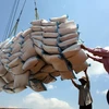 Bộ Công Thương khuyến nghị xem xét thận trọng hợp đồng xuất khẩu gạo vào Philippines. (Ảnh: TTXVN)