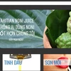 Trang web của Công ty tại địa chỉ https://morinda.com/vi-vn/shop. (Ảnh: PV/Vietnam+)