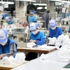 Sản xuất khẩu trang vải kháng khuẩn tại Dệt Kim Đông Xuân. (Ảnh: Đức Duy/Vietnam+)