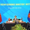 Bộ trưởng Trần Tuấn Anh chủ trì Hội nghị các Bộ trưởng kinh tế ASEAN trực tuyến lần thứ 52. (Ảnh: PV/Vietnam+)