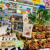 Các siêu thị tăng nguồn cung dự trữ hàng hóa, đảm bảo bình ổn thị trường. (Ảnh: Xuân Quảng/Vietnam+)