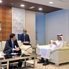 Bộ trưởng Nguyễn Hồng Diên làm việc với ông Suhail bin Mohammed Al Mazrouei, Bộ trưởng Bộ Năng lượng và Cơ sở hạ tầng UAE. (Ảnh: PV/Vietnam+)