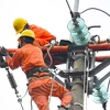 Nhân viên EVN bảo dưỡng các thiết bị điện. (Ảnh: PV/Vietnam+)