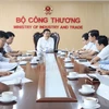 Bộ trưởng Bộ Công Thương Nguyễn Hồng Diên làm việc với Đoàn thanh tra chuyên ngành về quản lý và cung ứng điện của EVN. (Ảnh: PV/Vietnam+)