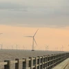 Điện gió ngoài khơi cung cấp một nguồn năng lượng cho phát triển kinh tế-xã hội. (Ảnh: Đức Duy/Vietnam+)