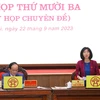 Kỳ họp thứ 13 Hội đồng Nhân dân thành phố Hà Nội đã thông qua Nghị quyết tán thành chủ trương thành lập quận Gia Lâm. (Ảnh: Xuân Quảng/Vietnam+)