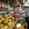 Hội chợ Đặc sản Vùng miền Việt Nam là cơ hội tốt để thực hiện hiệu quả cuộc vận động “Người Việt Nam ưu tiên dùng hàng Việt Nam,” (Ảnh: Đức Duy/Vietnam+)