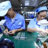 Doanh nghiệp FDI đầu tư vào nhiều lĩnh vực sản xuất công nghiệp của Việt Nam. (Ảnh: Đức Duy/Vietnam+)