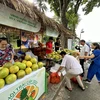 Người tiêu dùng mua sản phẩm VietGap tại Lễ hội trái cây. (Ảnh: Xuân Quảng/Vietnam+)