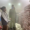 Lực lượng chức năng kiểm tra kho hàng thực phẩm tại địa bàn huyện Thường Tín, thành phố Hà Nội. (Ảnh: PV/Vietnam+)