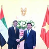 Bộ trưởng Bộ Công Thương Nguyễn Hồng Diên làm việc với ông Thani bin Ahmed Al Zeyoudi, Quốc vụ khanh phụ trách Thương mại Quốc tế, Bộ Kinh tế UAE. (Ảnh: PV/Vietnam+) 
