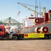 Tập đoàn Hoa Sen xuất khẩu 10.000 tấn tôn đi châu Âu. (Ảnh: PV/Vietnam+)