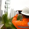 EVNHANOI kiểm tra hành lang lưới điện tại quận Nam Từ Liêm. (Ảnh: PV/Vietnam+)