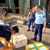 Lực lượng Quản lý Thị trường kiểm tra số xúc xích thu giữ trên địa bàn huyện Thanh Trì. (Ảnh: PV/Vietnam+)