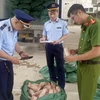 Lực lượng chức năng tỉnh Lạng Sơn kiểm tra hàng hóa vi phạm. (Ảnh: PV/Vietnam+)
