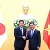 Bộ trưởng Nguyễn Hồng Diên làm việc với Bộ trưởng phụ trách Hiệp định CPTPP của Nhật Bản. (Ảnh: PV/Vietnam+)